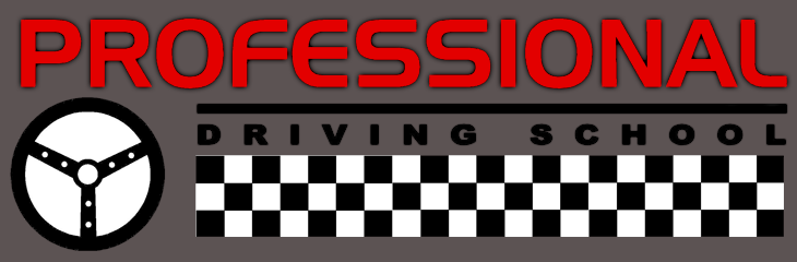 Professional Driving School